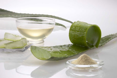 Benefits of Aloe Vera Juice