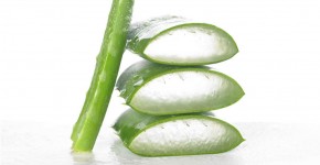 Aloe Vera Juice Benefits