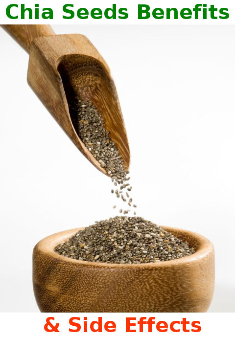 Chia Seeds Benefits