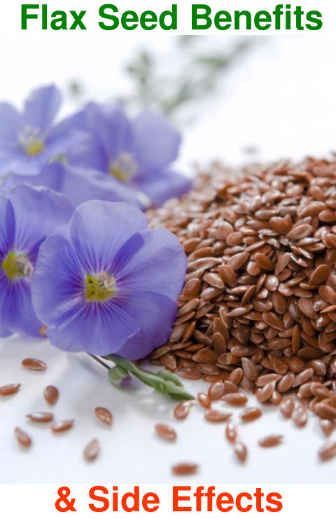 Flax Seed Benefits