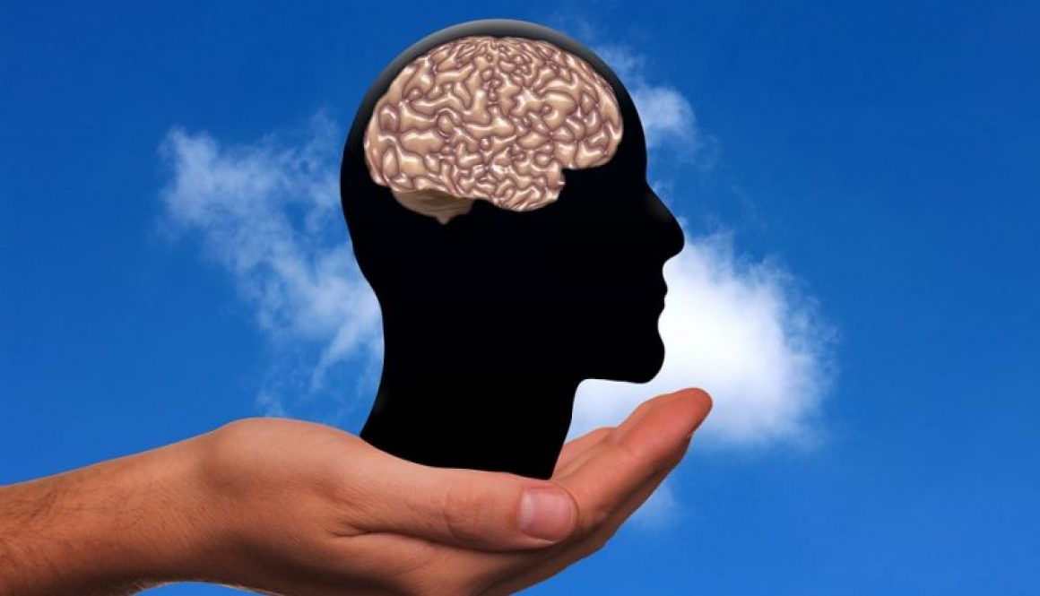 Foods to Help Avoid Dementia