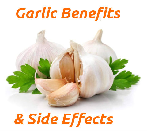Garlic Health Benefits and Side Effects