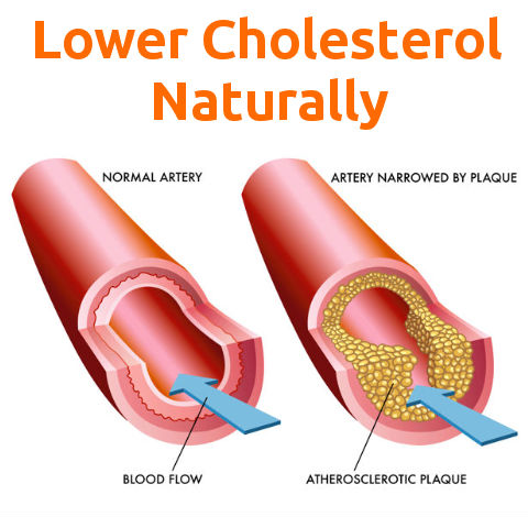 Lower Cholesterol Naturally