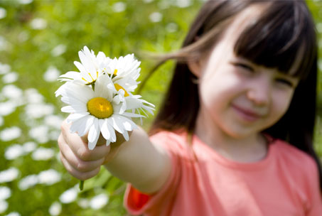 Tips to handle allergies