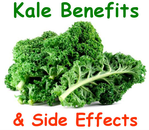 What is Kale