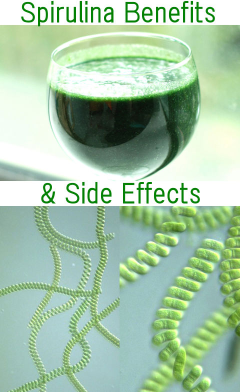 What is Spirulina