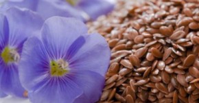 Flax Seed Benefits