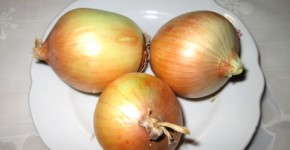 Health benefits of onions