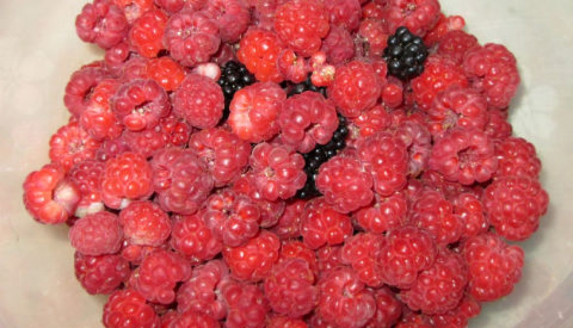 Health Benefits of Raspberries