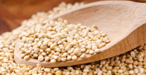 What is Quinoa
