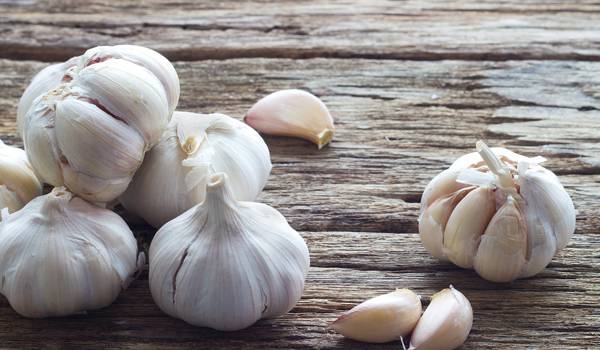 Garlic for parasites