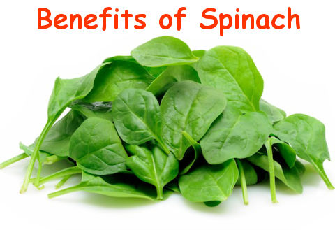 Health benefits of spinach