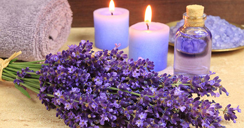 Lavender oil uses, benefits and side effects