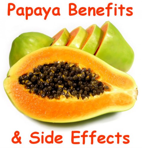papaya occur